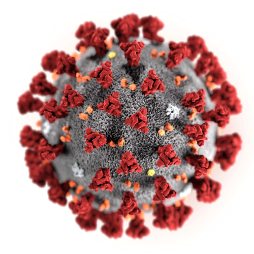Coronavirus – La Regione Lazio ha attivato tutte le Misure per la tua Sicurezza