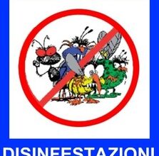 Disinfestazione 08-08-2023